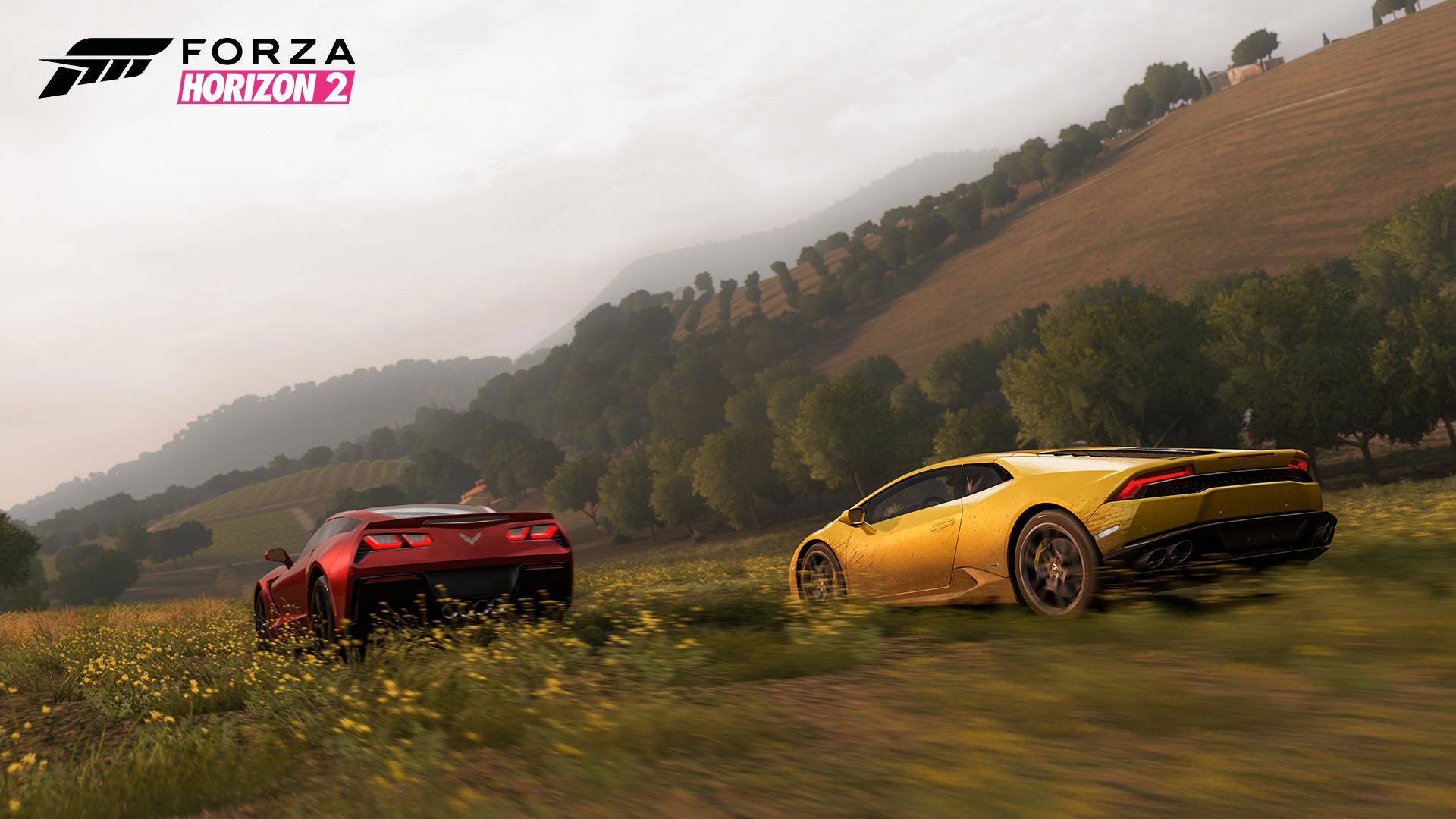 Forza horizon 2 online for xbox 360