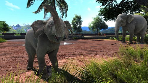 Zoo Tycoon: Ultimate Animal Collection - Xbox One - Console Game