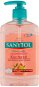 Liquid Soap SANYTOL Disinfecting Soap Kitchen 250ml - Tekuté mýdlo