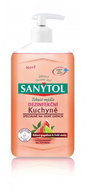 SANYTOL Dezinfekční mýdlo do kuchyně 250 ml - Tekuté mýdlo