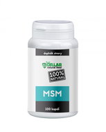 DR. LAB MSM 100% 100 CAPSULES - Dietary Supplement