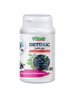 DR. LAB DETOXIC ANTIOXIDANTS 60 CAPSULES - Dietary Supplement