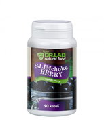 DR. LAB SLIM CHOKEBERRY 90 CAPSULES - Dietary Supplement