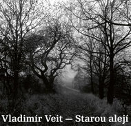 Veit Vladimír: Along the old alley - Music CD
