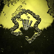 Wage War: Stigma - Music CD