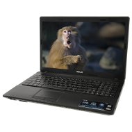 ASUS X54C-SX008 - Laptop
