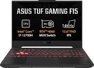 ASUS TUF Gaming F15 FX507ZV4-LP037 Jaeger Gray metallic - Gaming Laptop