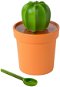 QUALY Tea/Coffee Can with Cacnister Spoon, 360ml, Orange-green - Container