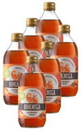 Bohemsca Organic Apple and cinnamon syrup 6× 0,33l - Syrup