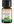Bio Spearmint 15ml