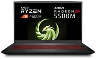 MSI Bravo 17 A4DDR-205CZ Metal - Gaming Laptop