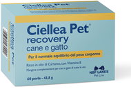 NBF Lanes ciellea pet dog and cat body weight 60 kps - Food Supplement for Dogs