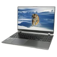 Acer Aspire TimeLineU M5-581TG-53316G52Mass - Laptop