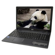 Acer TravelMate 5344-P462G50Mikk - Notebook