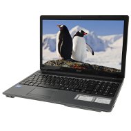 Acer Aspire 5349-B814G50Mnkk černý - Notebook