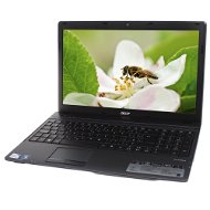 Acer TravelMate 5335-T352G32Mnss - Notebook