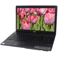 Acer TravelMate 5742Z-P613G32MN - Laptop