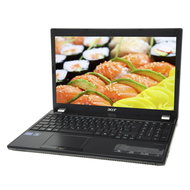 ACER TravelMate 5760-2414G50Mnsk silver - Laptop