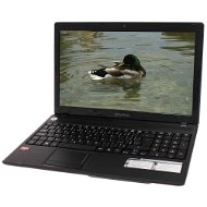 Acer eMachines E642-P342G32Mnkk - Notebook