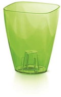 Prosperplast COUBI ORCHID Square Green Transparent 13,2cm - Flower Pot