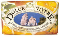 Nesti Dante Dolce Vivere Capri 250 g - Bar Soap