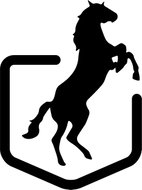Black horses - Charity Project