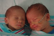 Club of twins and multiples o. p. s. - Charity Project