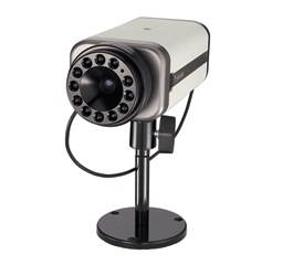 Vivotek IP6122 - IP Camera - Main image
