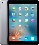 iPad Pro 9.7" 256GB - Space Grau - Tablet