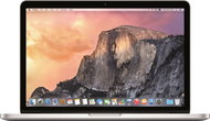 MacBook Pro 13" Retina CZ 2016 Space-Gray - MacBook