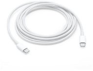 Datový kabel Apple USB-C nabíjecí kabel 2m - Datový kabel