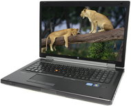 HP EliteBook 8770w - Laptop