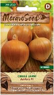 Spring Onion AMFORA F1 - Hybrid, Yellow - Seeds
