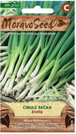 Winter Onions ENTITA, Seeder - Seeds