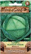 Late Cabbage Head BLISTRA F1 - Hybrid - Seeds