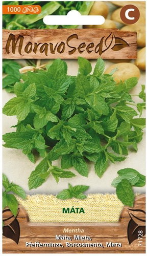 MORAVOSEED CZ Peppermint - Seeds - Main image