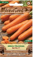 Semi-early Carrot BERLIKA F1 - Hybrid - Seeds