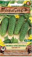 CORVETA F1 - Hybrid Warted Pickle Cucumber - Seeds