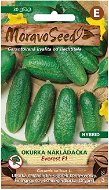 EVEREST F1 - Hybrid Delicate Gherkin Cucumber - Seeds