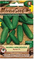 Cucumber Fine loader KAREN F1 - Hybrid - Seeds