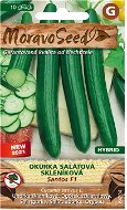 SANTOS F1 - Hybrid Salad Cucumber for Greenhouse - Seeds