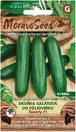 TWENTY F1 - Hybrid Salad Cucumber for Polytunnel - Seeds
