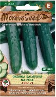 Seeds Cucumber Salad AIKON F1 - Hybrid, on the Field - Semena