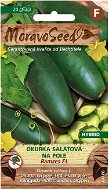 Salad Cucumber RAMZES F1 - Hybrid, on the Field - Seeds