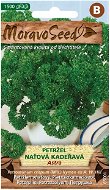 Curly Parsley ASTRA - Seeds