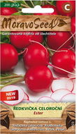 ESTER Year-round Radish, Red - Seeds