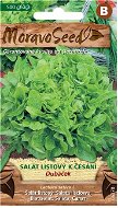 Seeds Leaf Salad for Reaping DUBÁČEK, Green - Semena