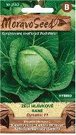 Early Cabbage DYNAMIC F1 - Hybrid, for Storage - Seeds