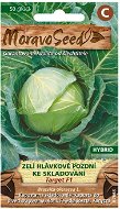 Late Cabbage TARGET F1 - Hybrid, for Storage - Seeds