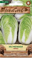 Chinese Cabbage HILTON - Seeds
